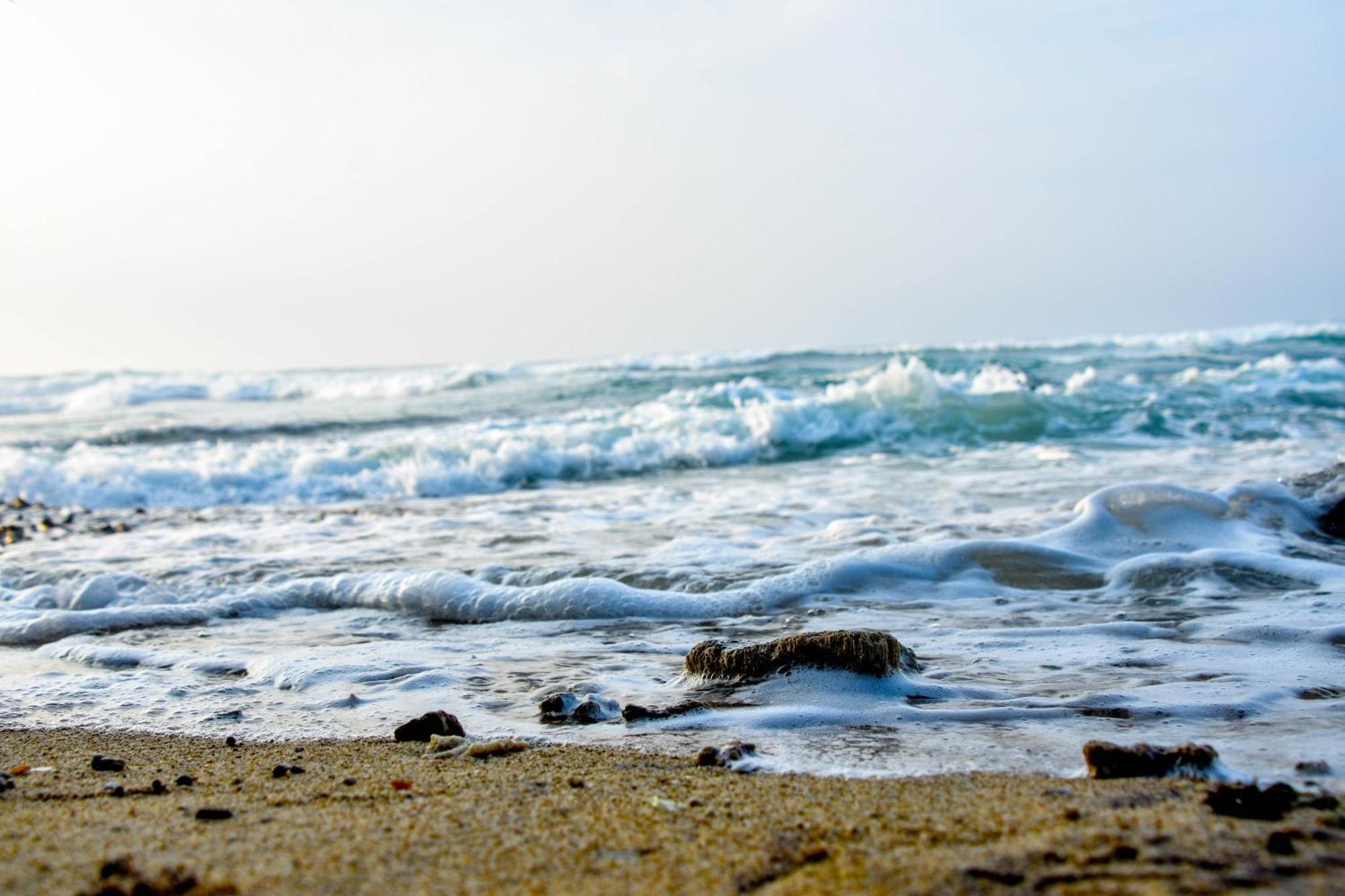 Ara Beach Resort Mirissa Dış mekan fotoğraf