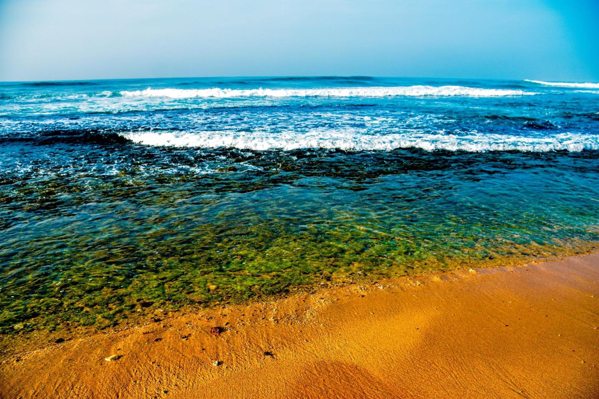 Ara Beach Resort Mirissa Dış mekan fotoğraf